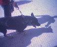 roki